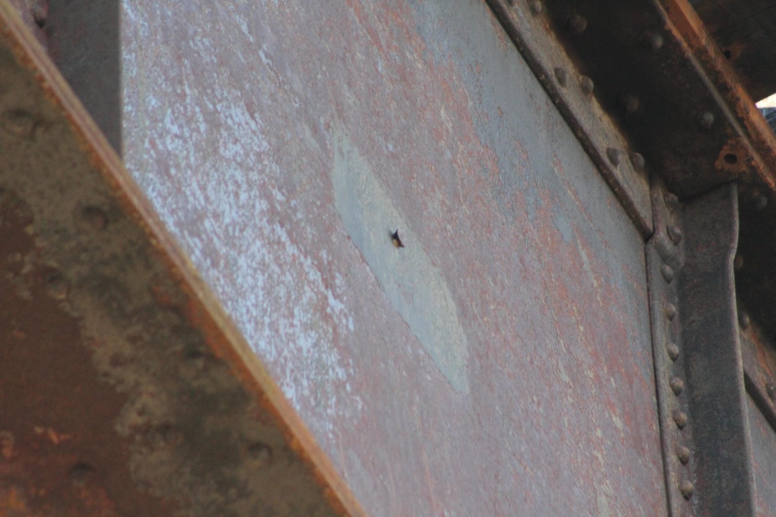 Missing plaque